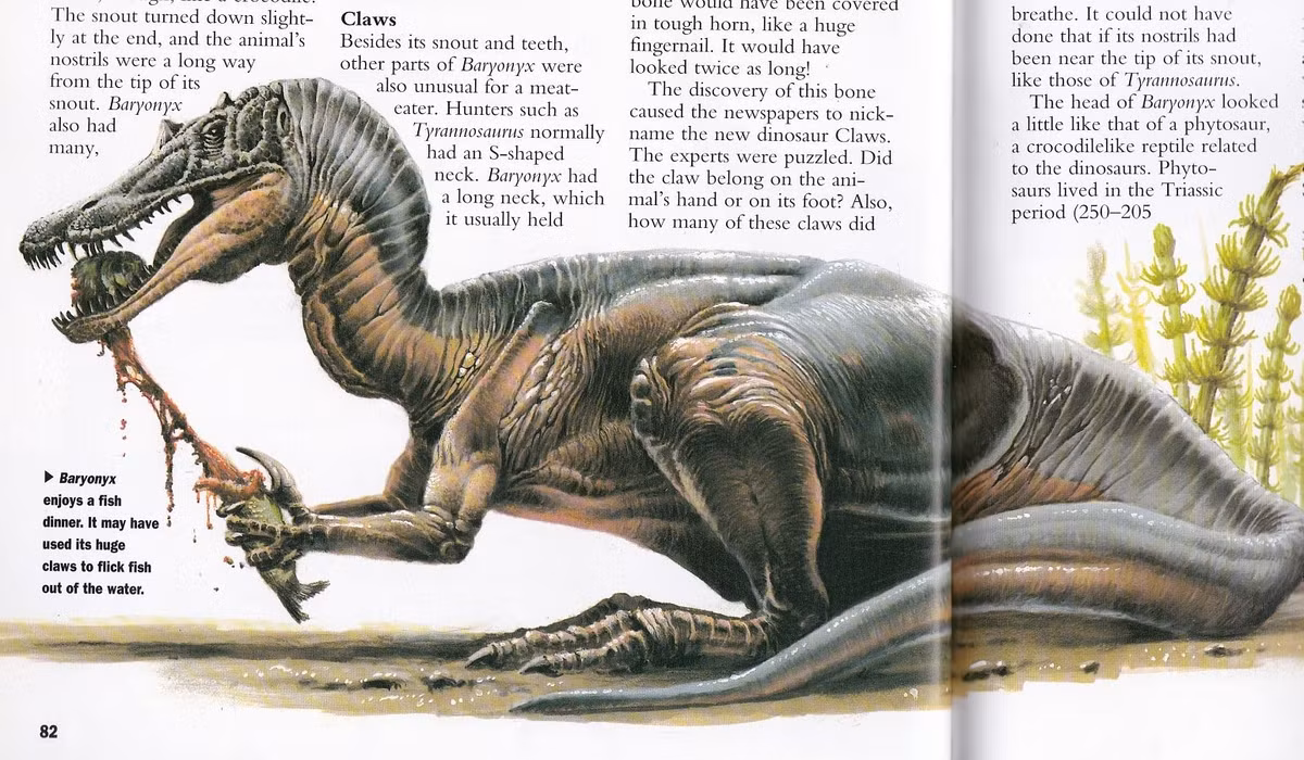 Khủng long ăn cá hiếm hoi trong thế giới cổ đại. Baryonyx được xem là một trong số ít khủng long ăn thịt chuyên săn cá, với hóa thạch dạ dày chứa vảy cá cổ đại, cho thấy chế độ ăn khác biệt so với nhiều loài khủng long theropod khác. Ảnh: Pinterest.
