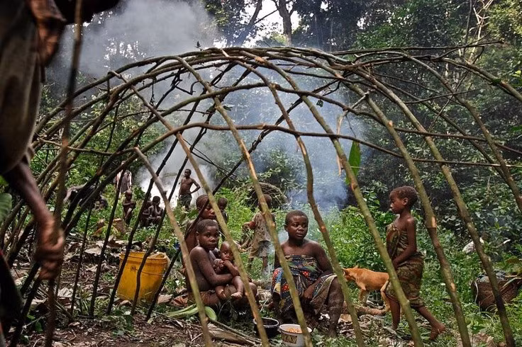  Tên gọi “Pygmy” ám chỉ vóc dáng thấp bé đặc trưng. Từ “Pygmy” xuất phát từ tiếng Hy Lạp cổ, nghĩa là “người nhỏ bé”. Nhiều nhóm Pygmy có chiều cao trung bình của người trưởng thành chỉ khoảng 140–150 cm. Các nhà khoa học cho rằng đặc điểm này là kết quả của quá trình thích nghi lâu dài với môi trường rừng rậm nhiệt đới. Ảnh: Pinterest.