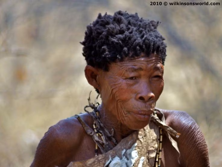  Bậc thầy sinh tồn nơi sa mạc khắc nghiệt. Sống chủ yếu ở sa mạc Kalahari, họ phát triển kỹ năng tìm nước, săn bắt và nhận biết dấu vết động vật cực kỳ tinh vi để tồn tại trong điều kiện thiếu thốn. Ảnh: Pinterest.