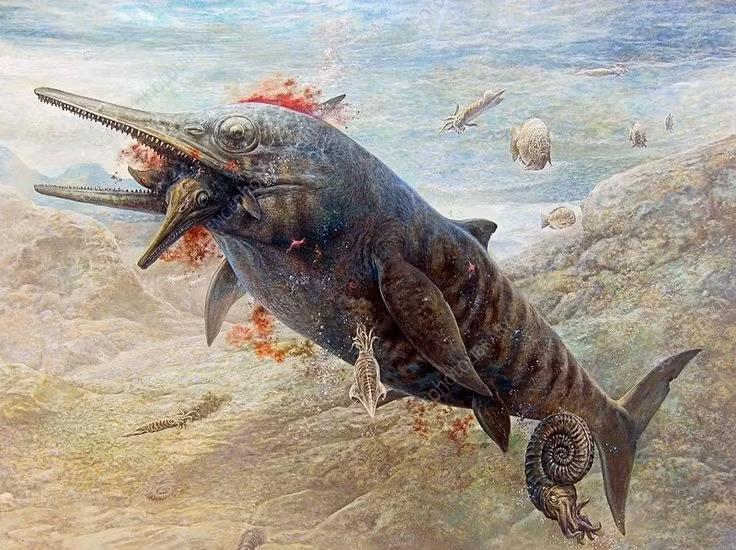  Có thể săn những loài ichthyosaur nhỏ hơn. Chúng là kẻ săn đỉnh chuỗi thức ăn trong môi trường sống của chúng. Ảnh: Pinterest.