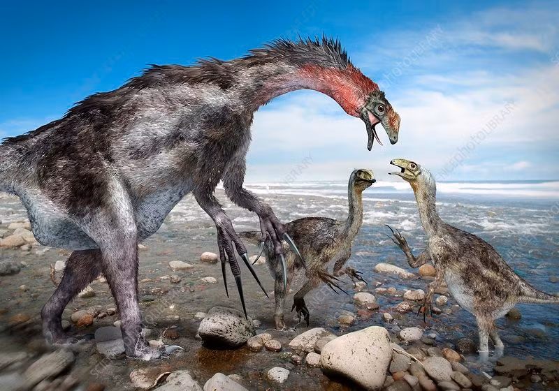  Việc phát hiện Nothronychus giúp kết nối các dạng khủng long therizinosaur châu Á với Bắc Mỹ. Điều này làm rõ con đường tiến hóa và phân bố của nhóm khủng long này. Ảnh: sciencephoto.com.