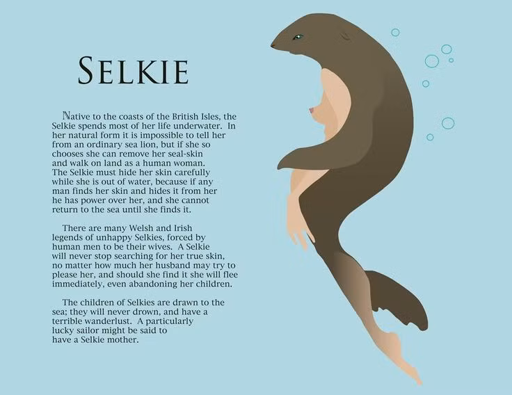  Da hải cẩu là chìa khóa. Linh hồn và quyền năng của Selkie gắn liền với tấm da hải cẩu, nếu bị đánh cắp chúng sẽ không thể quay về biển cả. Ảnh: Pinterest.