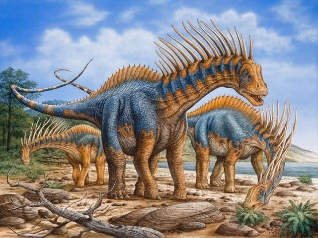  Có thể sống thành đàn nhỏ để tự vệ. Những đàn amargasaurus giúp giảm nguy cơ bị tấn công bởi thú ăn thịt. Ảnh: Pinterest.
