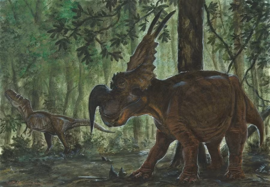  Tên gọi mang ý nghĩa “thằn lằn bò rừng”. Tên Einiosaurus bắt nguồn từ tiếng của người bản địa Blackfeet ở Bắc Mỹ, mang nghĩa “bò rừng”, nhằm gợi liên tưởng đến chiếc sừng cong giống sừng của bò rừng bison. Ảnh: Pinterest.