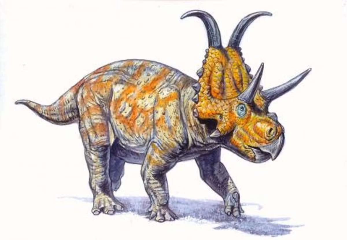  Tên của chúng nghĩa là “mặt quỷ có sừng”. Cái tên Diabloceratops bắt nguồn từ tiếng Hy Lạp, mô tả cặp sừng cong đầy vẻ dữ tợn phía sau đầu. Ảnh: Pinterest.
