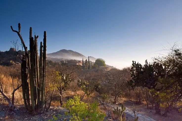  Được UNESCO công nhận Di sản Thế giới. Năm 2018, Tehuacán–Cuicatlán được UNESCO ghi danh nhờ giá trị nổi bật về sinh học, khảo cổ và văn hóa nhân loại. Ảnh: Pinterest.