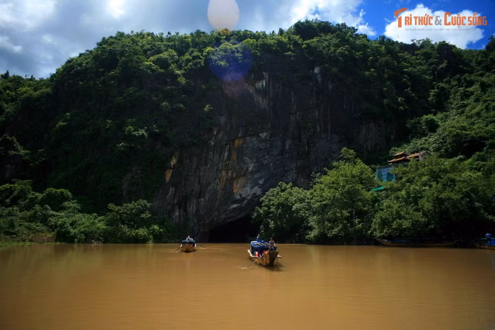 Hệ động thực vật độc đáo. Khu vực quanh động là nơi sinh sống của nhiều loài chim, dơi và sinh vật thuộc hệ sinh thái rừng Trường Sơn.