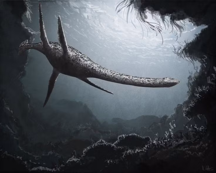  Trứng chưa bao giờ được tìm thấy. Giới khoa học vẫn tranh luận liệu Plesiosaurus đẻ trứng hay sinh con trong nước. Ảnh: Pinterest.