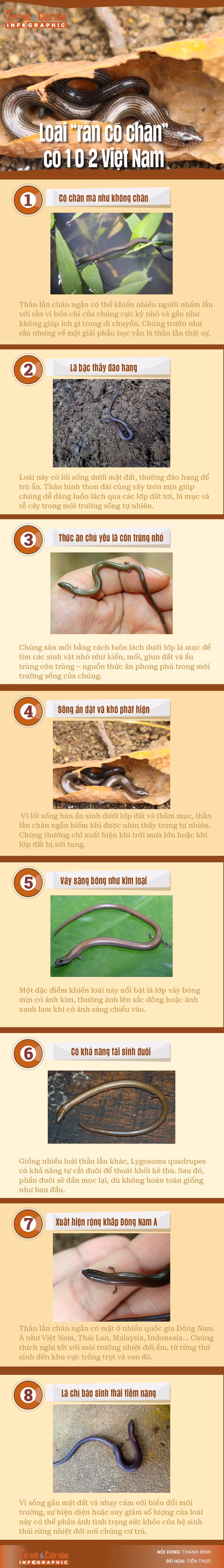 info-thanlan-channgan-01.jpg