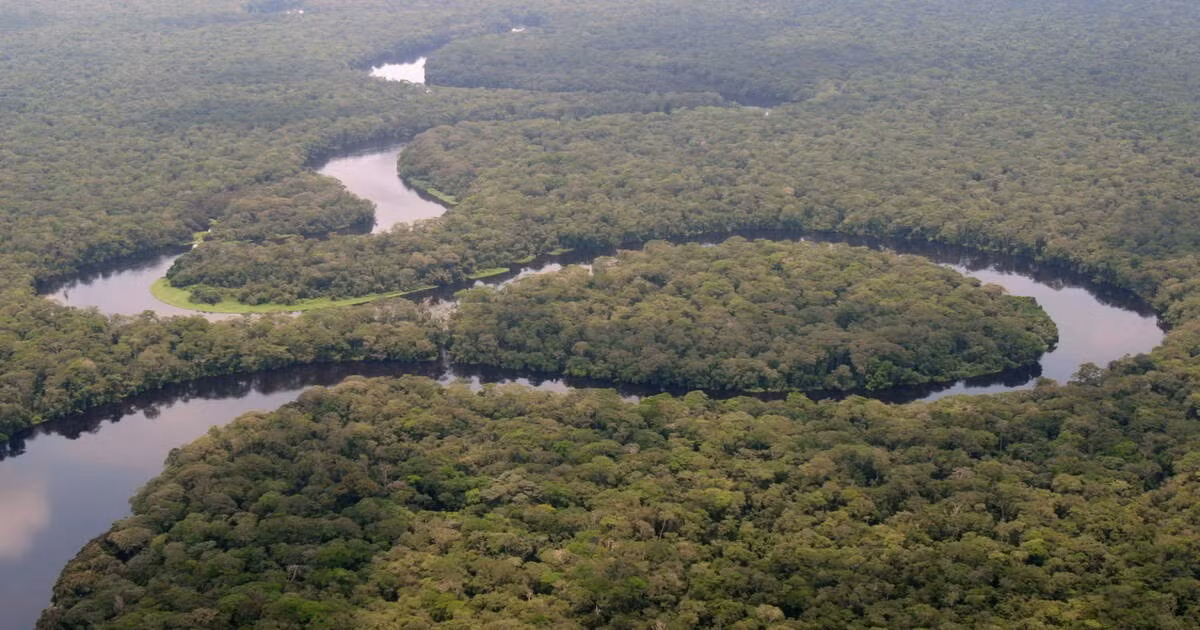  Là vườn quốc gia lớn nhất châu Phi. Salonga có diện tích hơn 36.000 km², phần lớn chưa từng có dấu chân con người. Ảnh: unesco.org.