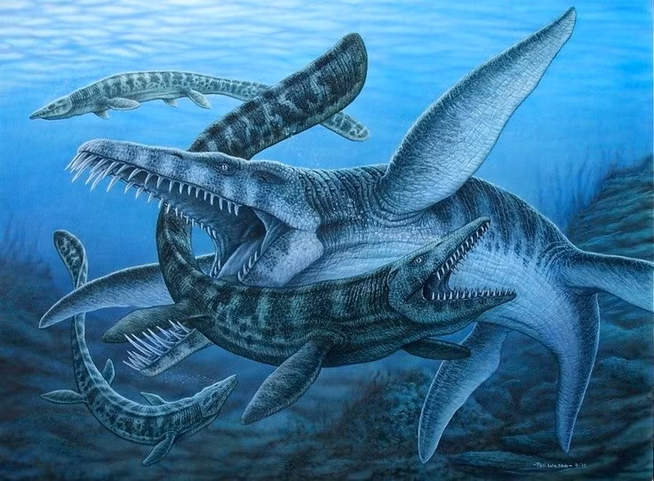  Kẻ săn mồi hàng đầu đại dương. Liopleurodon là kẻ đứng đầu chuỗi thức ăn biển kỷ Jura với hàm răng sắc bén và lực cắn khủng khiếp. Ảnh: Pinterest.