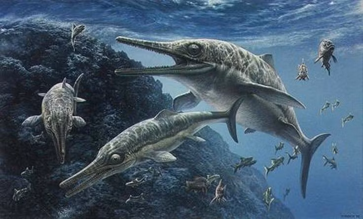  4. Thích nghi hoàn hảo với biển. Khác với tổ tiên bò sát sống trên cạn, Ichthyosaurus hoàn toàn tiến hóa thành loài sống dưới nước. Ảnh: Pinterest.