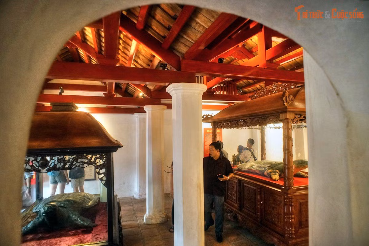 Nơi lưu giữ hai tiêu bản rùa Hồ Gươm quý hiếm. Hai tiêu bản rùa – một mất năm 1967 và một mất năm 2016 – được trưng bày ở gian chái bên phải khu đền chính, gợi nhắc về huyền thoại vua Lê Lợi trả gươm cho Rùa Thần.