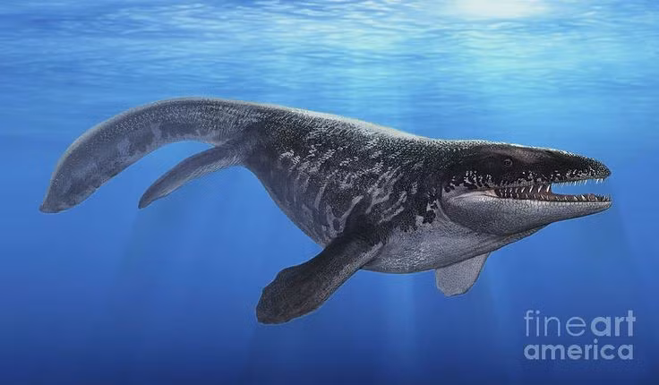  1. Sống cách đây hơn 70 triệu năm. Halisaurus tồn tại vào cuối kỷ Phấn Trắng, cùng thời với khủng long bạo chúa Tyrannosaurus rex trước khi đại tuyệt chủng xảy ra. Ảnh: Pinterest.