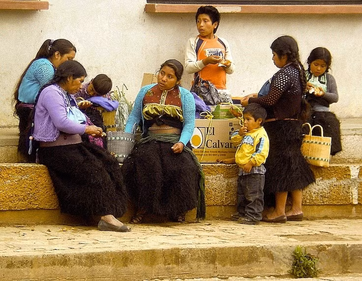  Gắn bó sâu sắc với nông nghiệp truyền thống. Nhiều cộng đồng Zapotec vẫn duy trì lối sống nông nghiệp, trồng ngô, đậu, bí và ớt theo phương thức cổ truyền. Nông nghiệp không chỉ là sinh kế mà còn mang ý nghĩa tâm linh, gắn với chu kỳ tự nhiên và tín ngưỡng bản địa. Ảnh: Pinterest.
