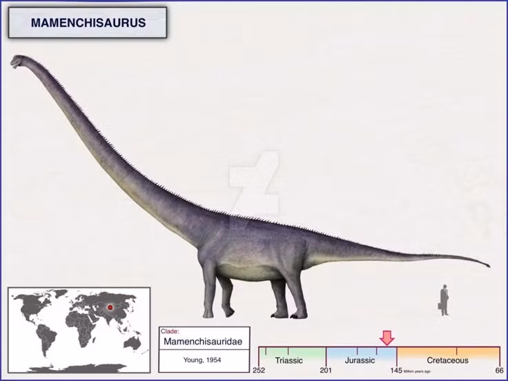  Tên gọi gắn với địa danh phát hiện đầu tiên. Tên Mamenchisaurus bắt nguồn từ “Mamenxi” (lạch cổng ngựa), khu vực tại Trung Quốc nơi hóa thạch đầu tiên được khai quật. Cách đặt tên này phản ánh truyền thống gắn phát hiện khoa học với địa lý địa phương. Ảnh: Pinterest.