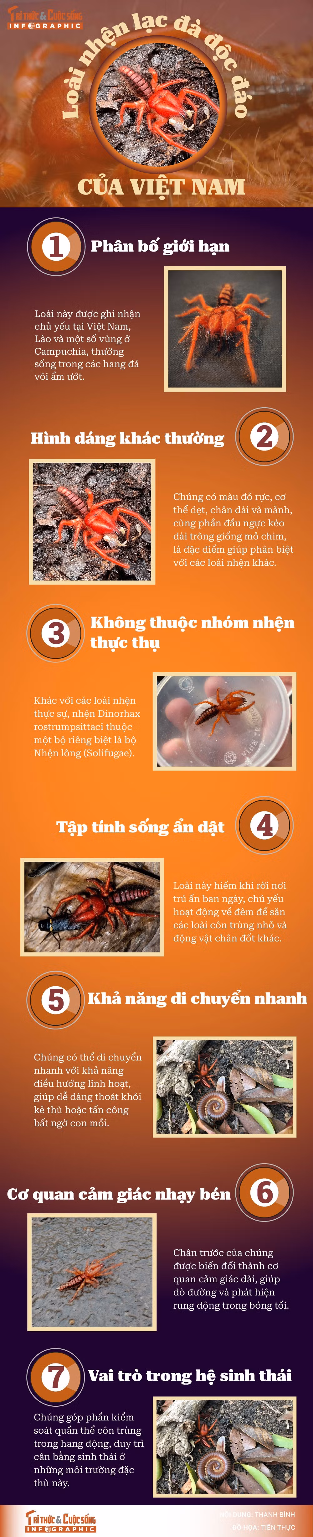 info-nhenlacda-01.jpg