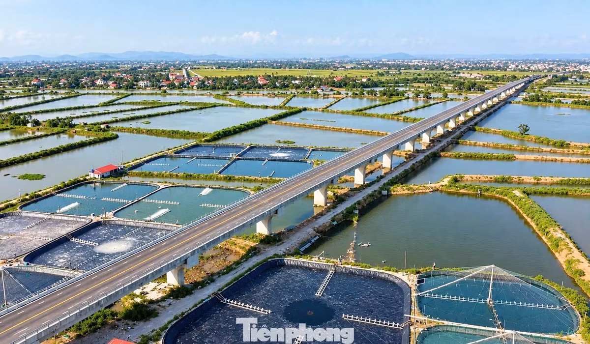 Để có mặt bằng thi công, chủ đầu tư và các nhà thầu đã thực hiện giải phóng mặt bằng, đền bù 10 đầm nuôi tôm với tổng diện tích khoảng 3ha. Đây là một trong những phần việc đáng chú ý khi triển khai công trình qua khu vực có hoạt động nuôi trồng thủy sản.