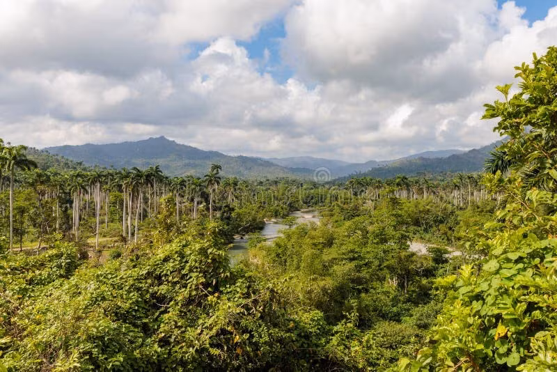  7. Di sản thiên nhiên thế giới UNESCO. Năm 2001, UNESCO công nhận Alejandro de Humboldt là Di sản Thiên nhiên Thế giới nhờ giá trị sinh thái độc đáo. Ảnh: dreamstime.com.