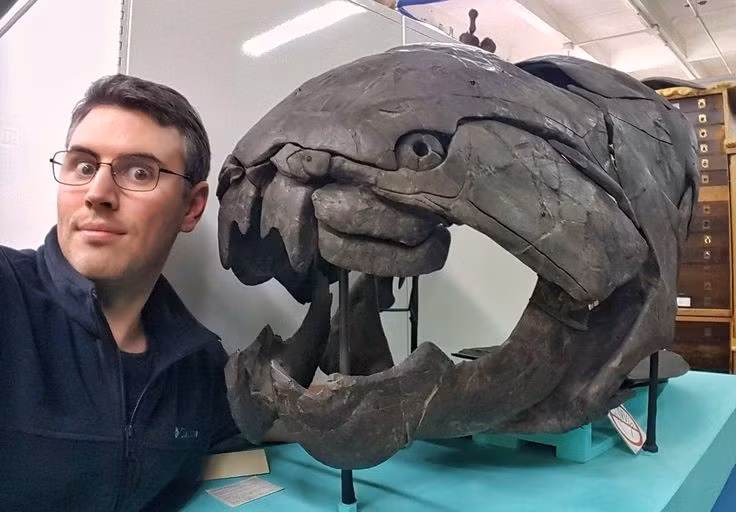 5. Giáp đầu dày và nặng. Phần đầu và ngực của Dunkleosteus được bọc giáp xương dày, giúp bảo vệ nó khỏi các đòn tấn công và hỗ trợ trong săn mồi. Ảnh: Pinterest.