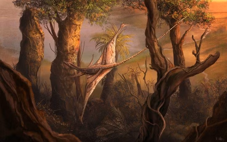  Hóa thạch được tìm thấy tại Trung Á. Những mẫu hóa thạch hiếm hoi của Sharovipteryx được phát hiện ở khu vực Kyrgyzstan ngày nay, giúp các nhà khoa học lần đầu nhận diện kiểu thích nghi bay lượn khác thường này. Ảnh: Pinterest.