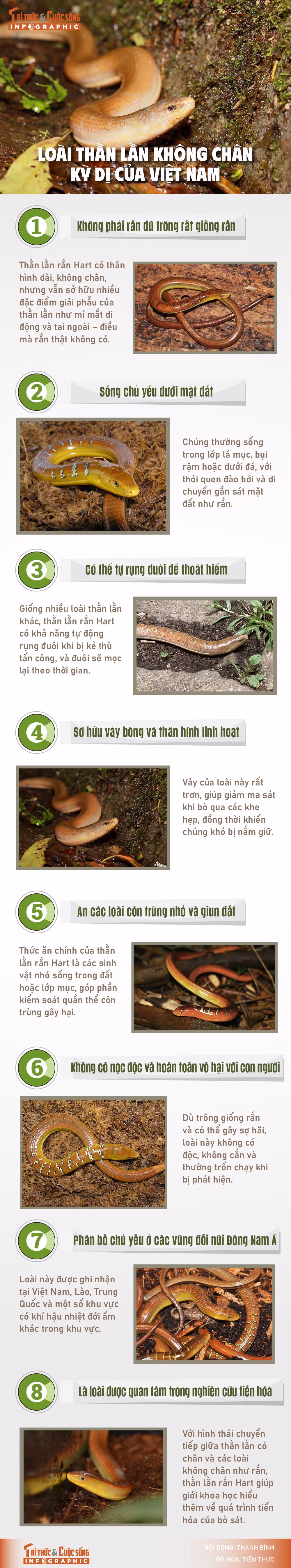 info-thanlan-hart-01-01.jpg