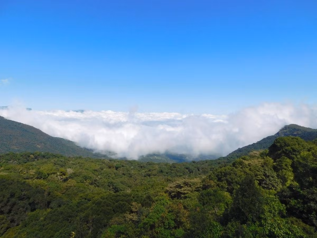  Nằm trong dãy Ghat Tây huyền thoại. Anamudi Shola tọa lạc tại bang Kerala, thuộc dãy Ghat Tây – một trong những trung tâm đa dạng sinh học toàn cầu được UNESCO công nhận, nổi tiếng với nhiều loài đặc hữu. Ảnh: tripadvisor.com.