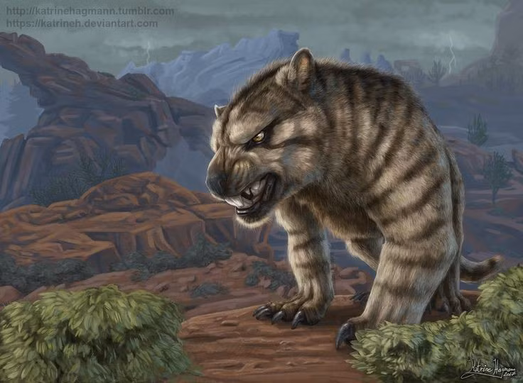 Kích thước tương đương một con báo lớn. Thylacoleo nặng từ 100 đến 160 kg, gấp rưỡi loài thú có túi lớn nhất còn tồn tại là kangaroo đỏ. Ảnh: Pinterest.