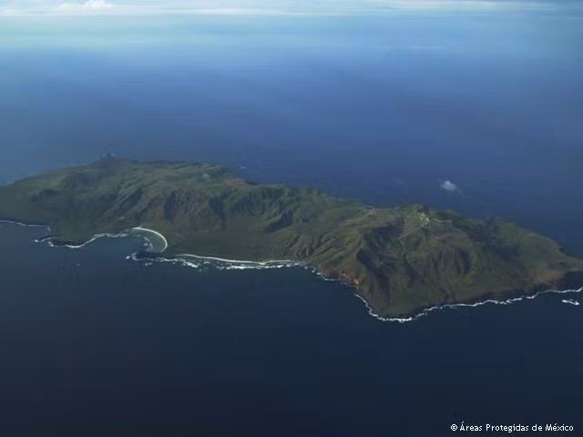  Được ví như “Galápagos của Mexico”. Độ đa dạng sinh học và cảnh quan hoang sơ khiến nơi đây được so sánh với quần đảo huyền thoại Galápagos. Ảnh: Pinterest.