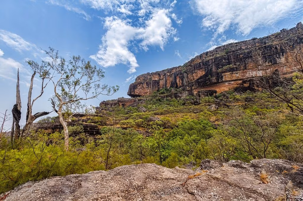  Khí hậu thay đổi nhanh chóng và khó lường. Thời tiết ở Vùng hoang dã Tasmania có thể chuyển từ nắng sang mưa hoặc tuyết chỉ trong vài giờ, tạo điều kiện cho việc hình thành hệ sinh thái đặc biệt ở nơi đây. Ảnh: Pinterest.