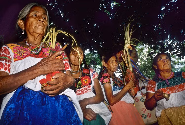  Ngôn ngữ Nahuatl vẫn được sử dụng. Tiếng Nahuatl thuộc ngữ hệ Uto-Aztecan và hiện vẫn có hàng triệu người sử dụng tại Mexico. Nhiều từ tiếng Anh quen thuộc như “chocolate”, “tomato” hay “coyote” có nguồn gốc từ ngôn ngữ này. Ảnh: mexicolore.co.uk.