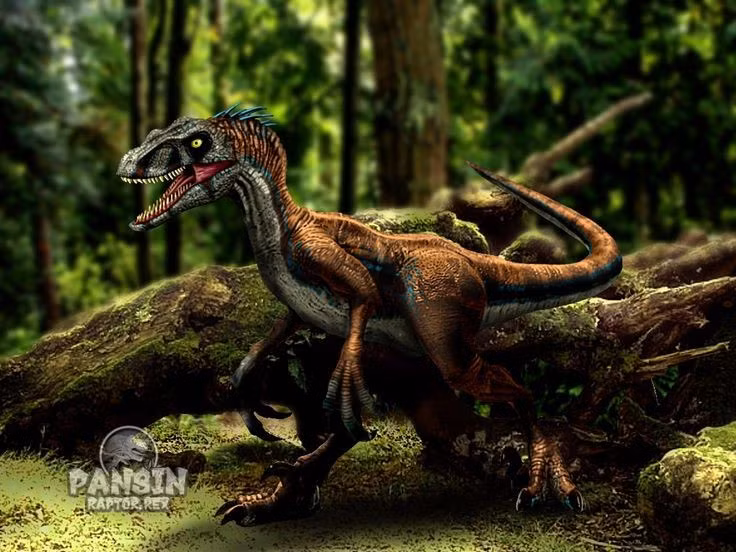  8. Velociraptor sống ở châu Á, không phải Bắc Mỹ. Hóa thạch của loài này chủ yếu được tìm thấy tại Mông Cổ và Trung Quốc, khác hẳn với khung cảnh rừng rậm Bắc Mỹ trong các bộ phim. Ảnh: Pinterest.