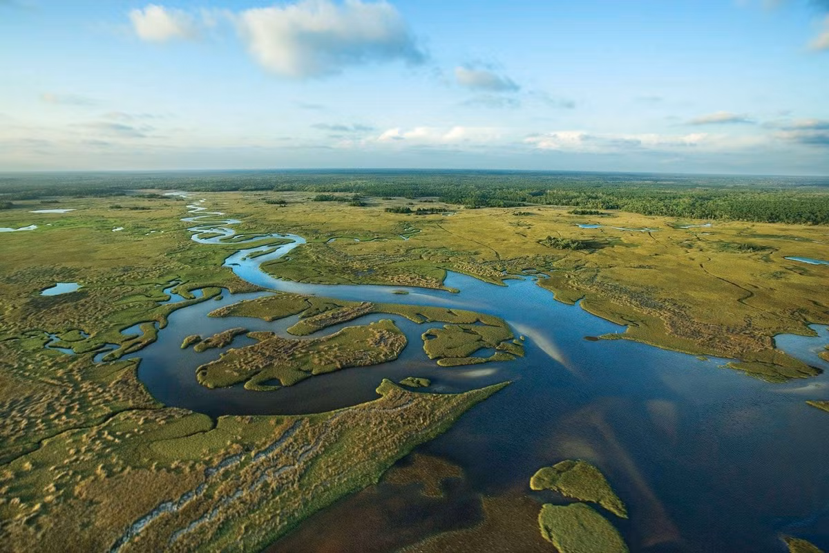 Được thành lập năm 1947. Everglades chính thức trở thành vườn quốc gia để bảo vệ hệ sinh thái độc đáo của vùng đầm lầy rộng lớn ở bang Florida. Ảnh: britannica.com.