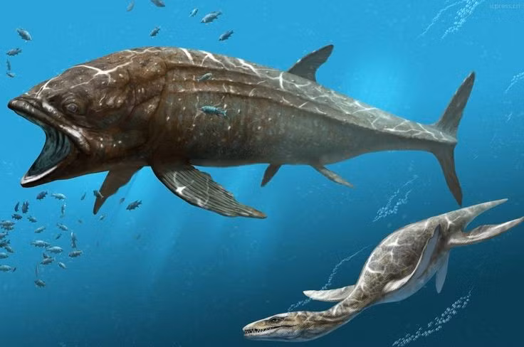  Là loài cá xương lớn nhất trong lịch sử. Chiều dài ước tính của Leedsichthys có thể đạt 16 mét, nặng hơn 40 tấn. Ảnh: Pinterest.