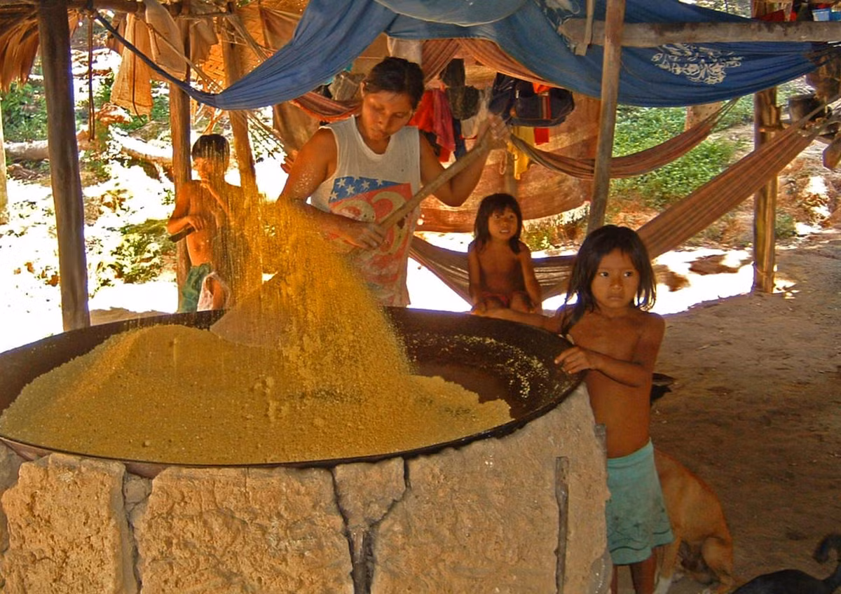  Ngôn ngữ Ticuna phát triển hoàn toàn biệt lập. Tiếng Ticuna không thuộc bất kỳ hệ ngôn ngữ lớn nào ở Nam Mỹ, được xem là ngôn ngữ biệt lập hiếm hoi, phản ánh lịch sử phát triển độc lập lâu dài của cộng đồng này. Ảnh: aventuradobrasil.com.