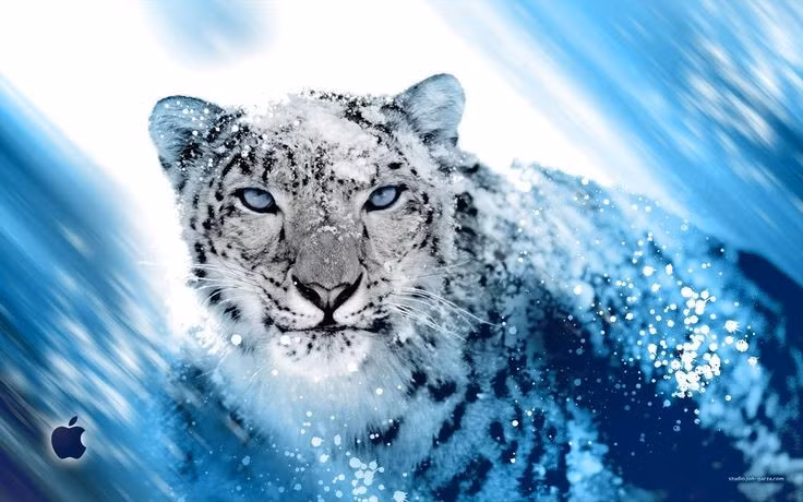  Không gầm như sư tử hay hổ. Dù thuộc chi Panthera, báo tuyết không thể gầm như họ hàng của mình do cấu trúc thanh quản khác biệt. Thay vào đó, chúng phát ra âm thanh rền vang, được gọi là “prusten”, giống tiếng khịt mũi thân thiện. Ảnh: Pinterest.