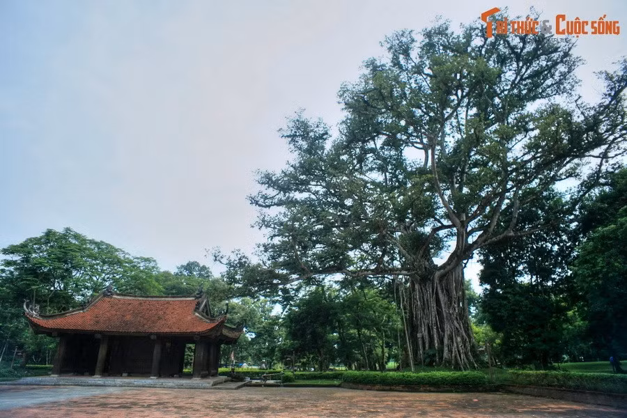 1. Quê hương của vua Lê Thái Tổ. Lam Kinh được xây dựng trên quê cha đất tổ của Lê Lợi – người lãnh đạo khởi nghĩa Lam Sơn và sáng lập ra triều Hậu Lê – một trong những triều đại hưng thịnh nhất trong lịch sử Việt Nam.