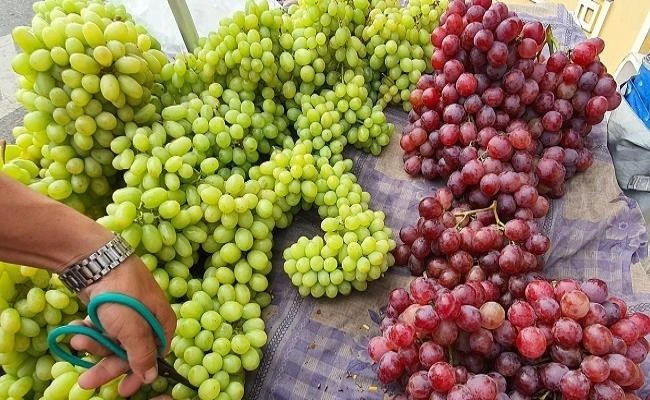 4 loại quả Trung Quốc “đội lốt” hàng Việt, người tiêu dùng lưu ý