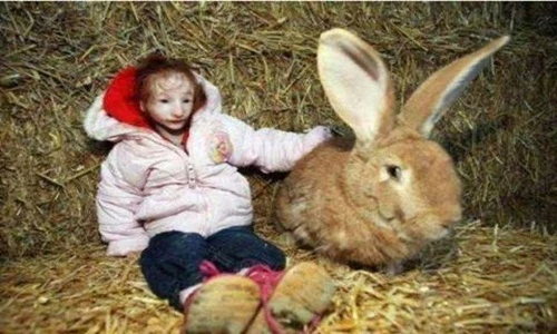 Bé 10 tuổi nhỏ như con thỏ và phép màu có thật