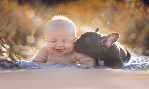 Tình bạn kỳ lạ của bé và chú chó sinh cùng ngày