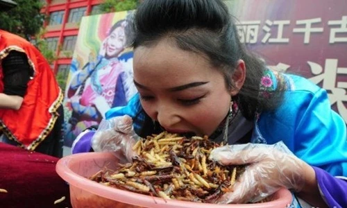 Kinh dị cảnh đua nhau ăn hàng kg sâu bọ