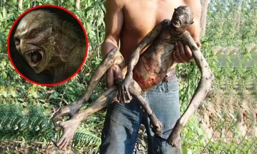 Những lần phát hiện sinh vật "nửa người nửa thú" gây sửng sốt