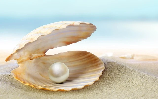 Những công dụng làm đẹp tuyệt vời của bột ngọc trai