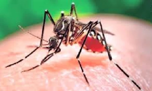 Clip phòng chống virus gây teo não Zika