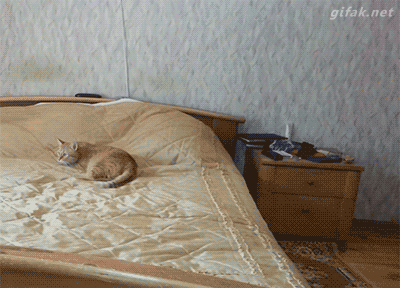 Mình lại bị lừa nữa rồi.