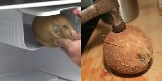 Cách tách cùi dừa nguyên quả bằng máy cực độc đáo