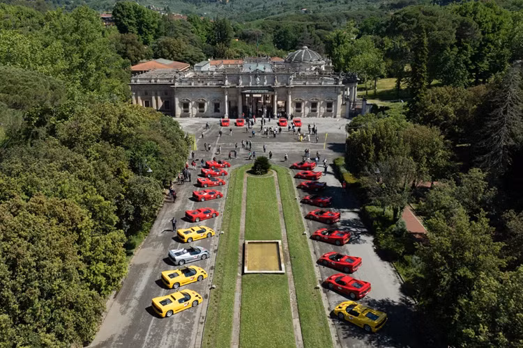 23 xe F50 tham gia lần này đa phần sở hữu tông màu đỏ huyền thoại - Rosso Corsa, nhưng Ferrari vẫn bổ sung thêm vài xe với màu vàng Giallo Modena và bạc Argento Nurburgring.