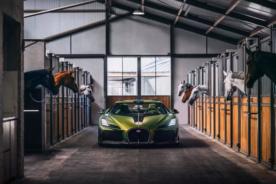 Bugatti Brouillard là mẫu hypercar độc bản từ chương trình Programme Solitaire. Chiếc xe được đặt tên theo con ngựa "Sương Mù" của ông Ettore Bugatti.
