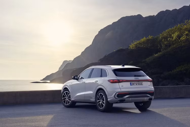 Tại Đức, giá khởi điểm cho Audi Q5 e-hybrid quattro là 63.400 Euro (khoảng 1,91 tỷ đồng), trong khi bản Sportback e-hybrid quattro có giá từ 65.900 Euro (1,99 tỷ đồng). Các phiên bản hiệu suất cao có mức giá lần lượt là 71.800 Euro (2,16 tỷ đồng) và 74.300 Euro (2,24 tỷ đồng).