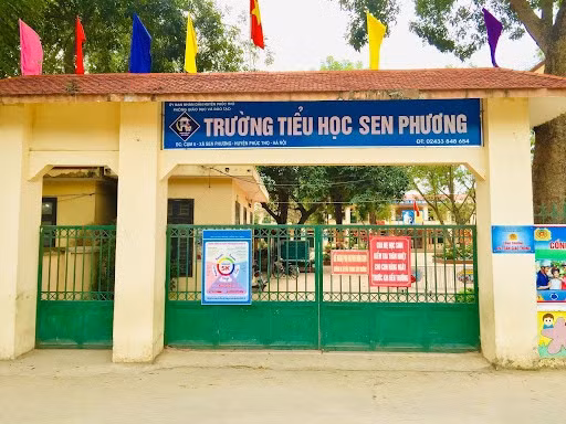 th-sen-phuong.jpg